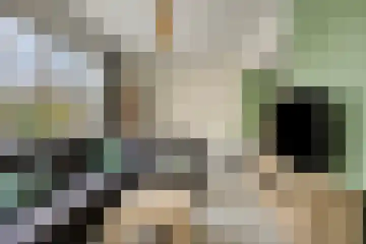 Poolsterlaan 16 Eindhoven thumbnail 6