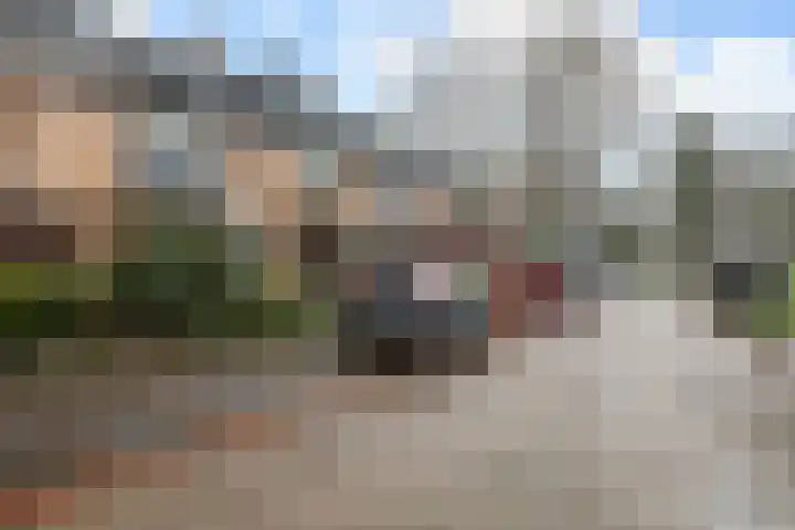 Poolsterstraat 12 Alphen aan den Rijn thumbnail 4