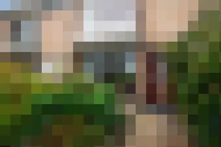 Poolsterstraat 12 Alphen aan den Rijn thumbnail 5