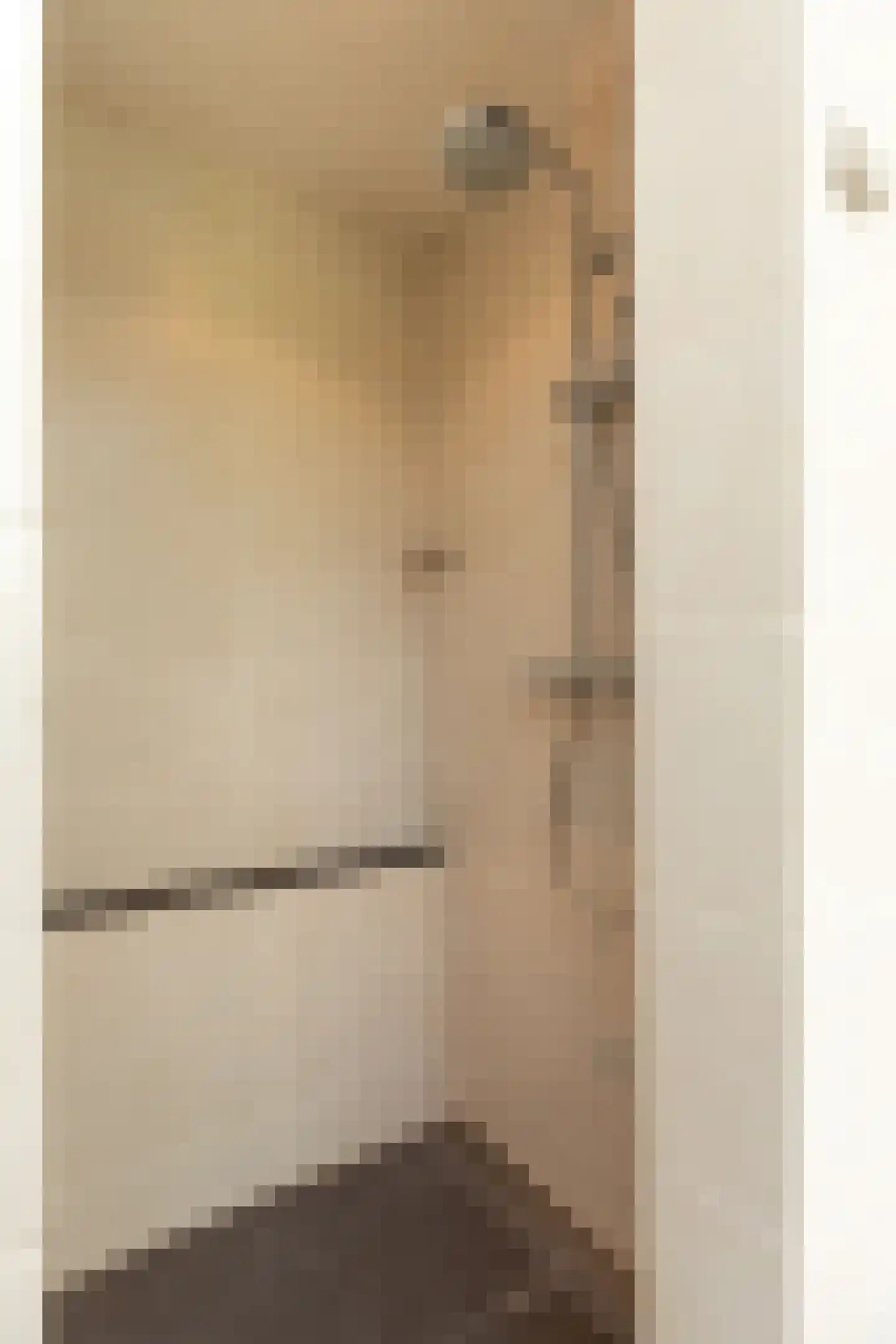 Poolsterstraat 12 Hilversum thumbnail 28