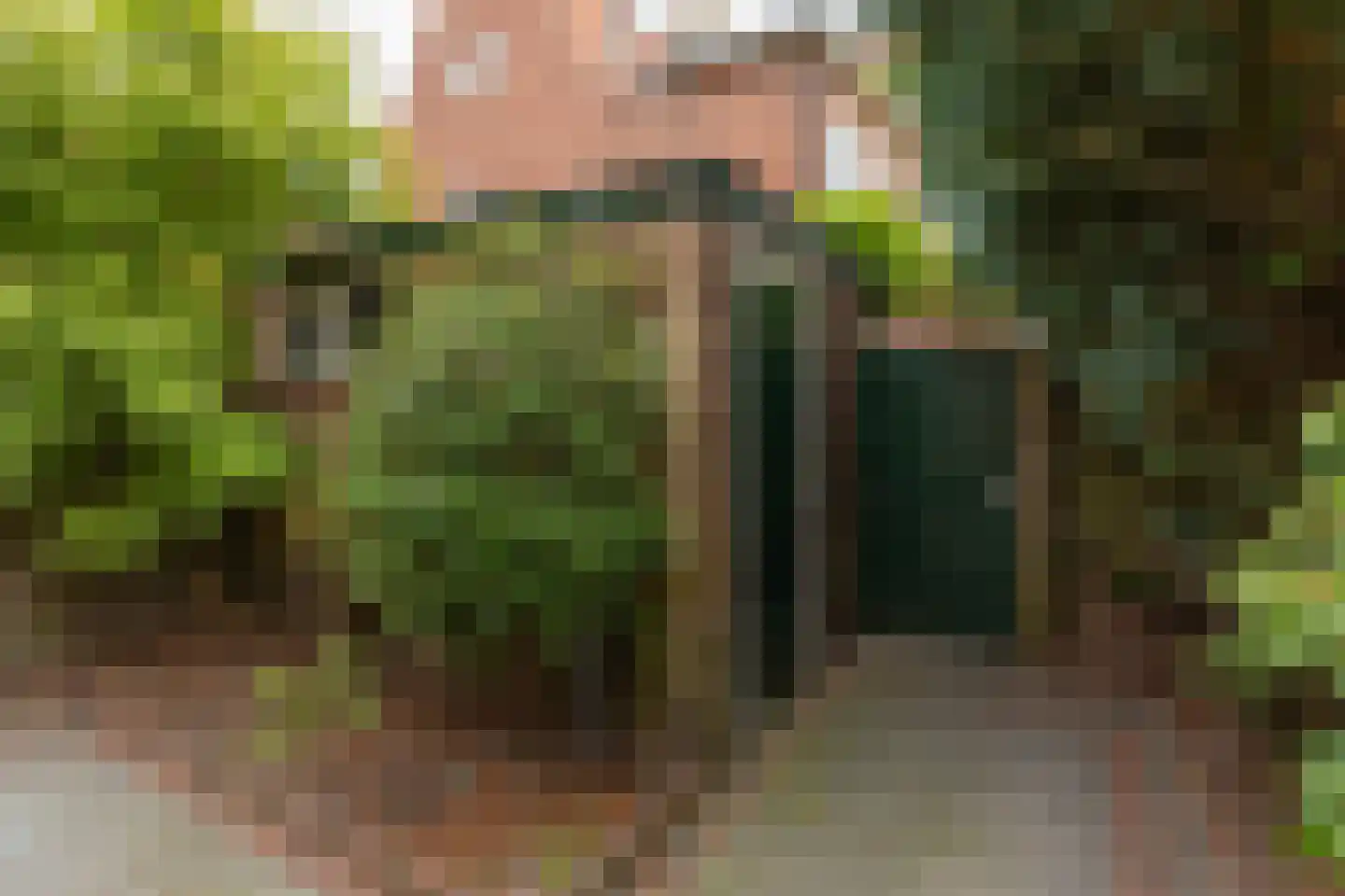 Poolsterstraat 12 Hilversum thumbnail 37