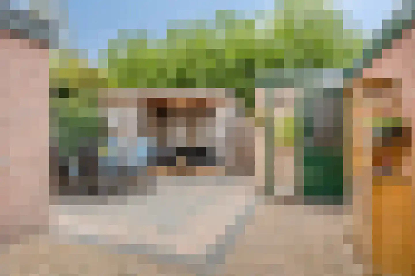 Poolsterstraat 15 Apeldoorn thumbnail 27