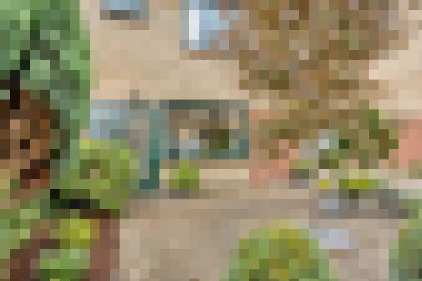 Poolsterstraat 15 Apeldoorn thumbnail 36