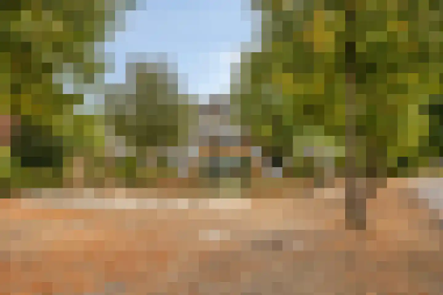 Poolsterstraat 15 Apeldoorn thumbnail 43
