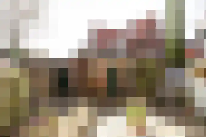 Poolsterstraat 18 Hilversum thumbnail 30