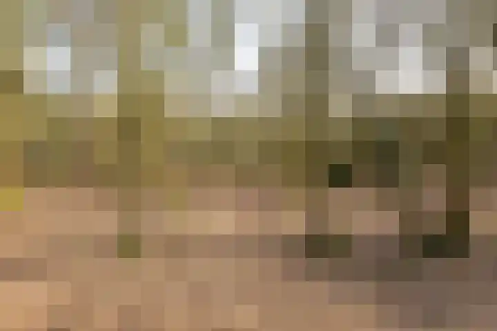 Poolsterstraat 18 Hilversum thumbnail 32