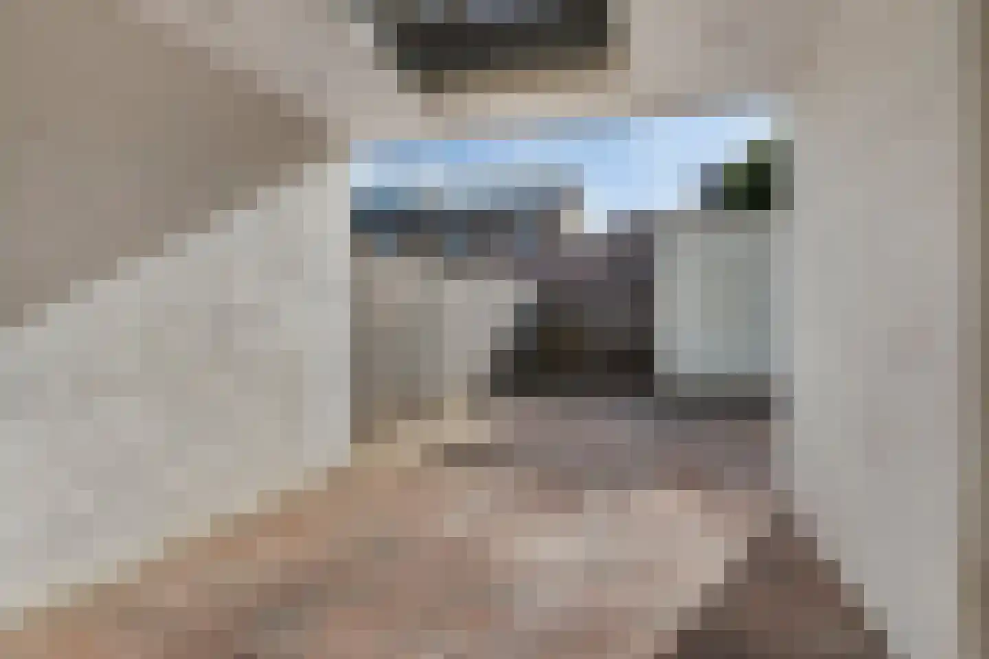Poolsterstraat 22 Asten thumbnail 36