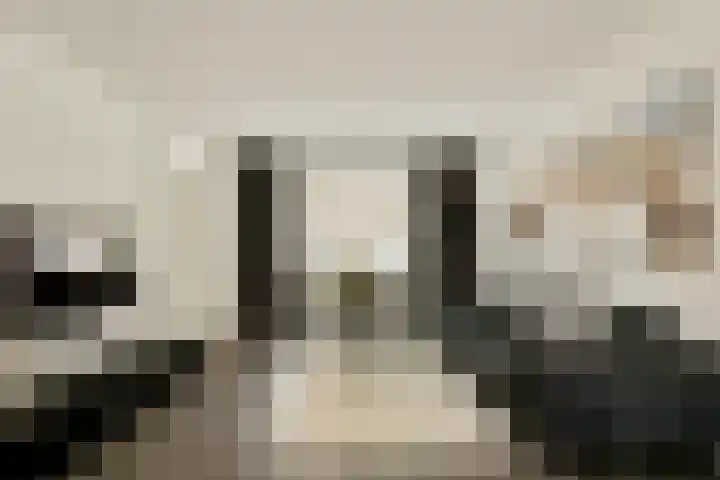 Poolsterstraat 3 Amsterdam thumbnail 4