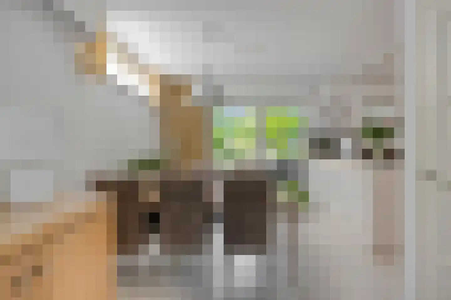 Poolsterstraat 3 Sittard thumbnail 15