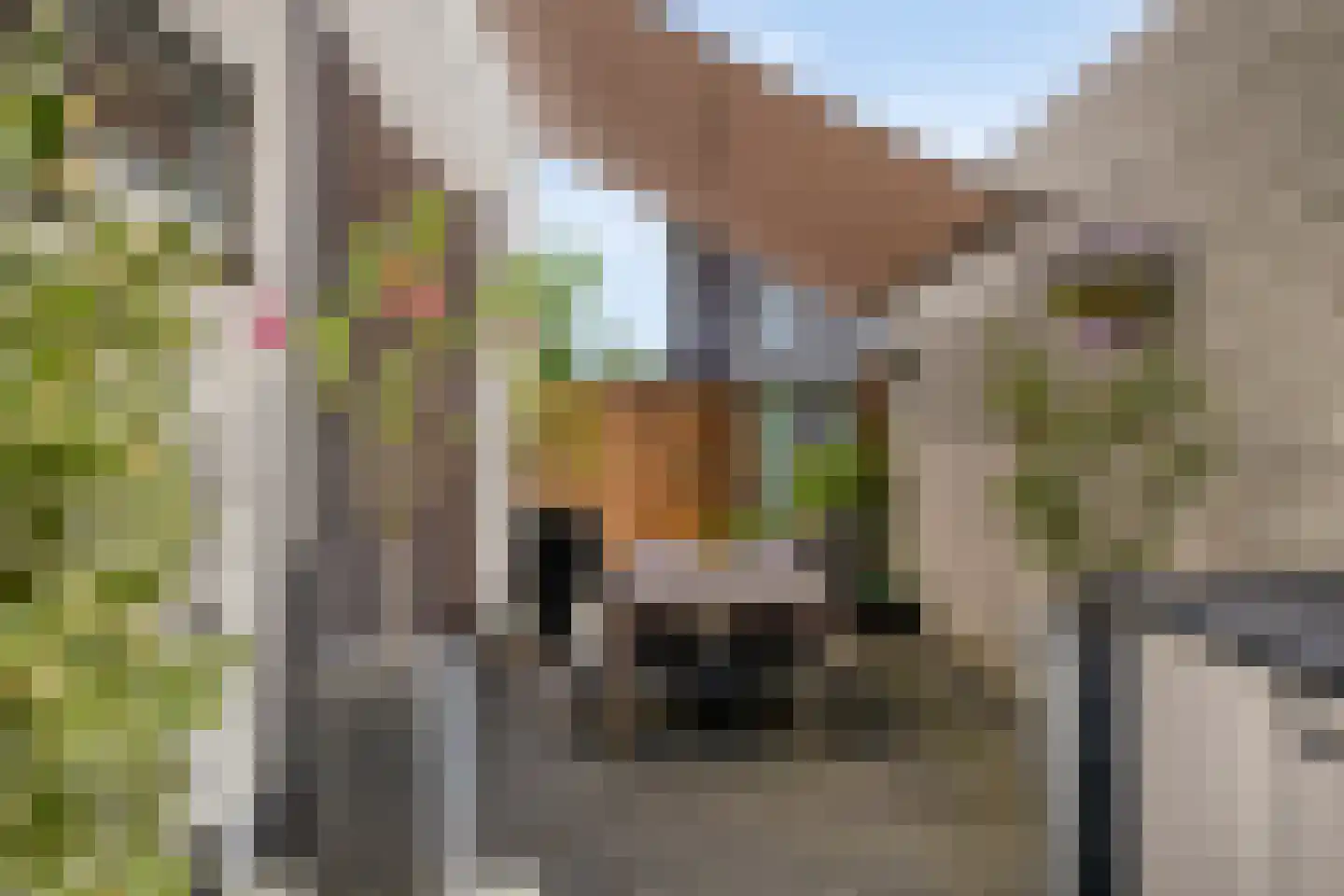 Poolsterstraat 3 Sittard thumbnail 45