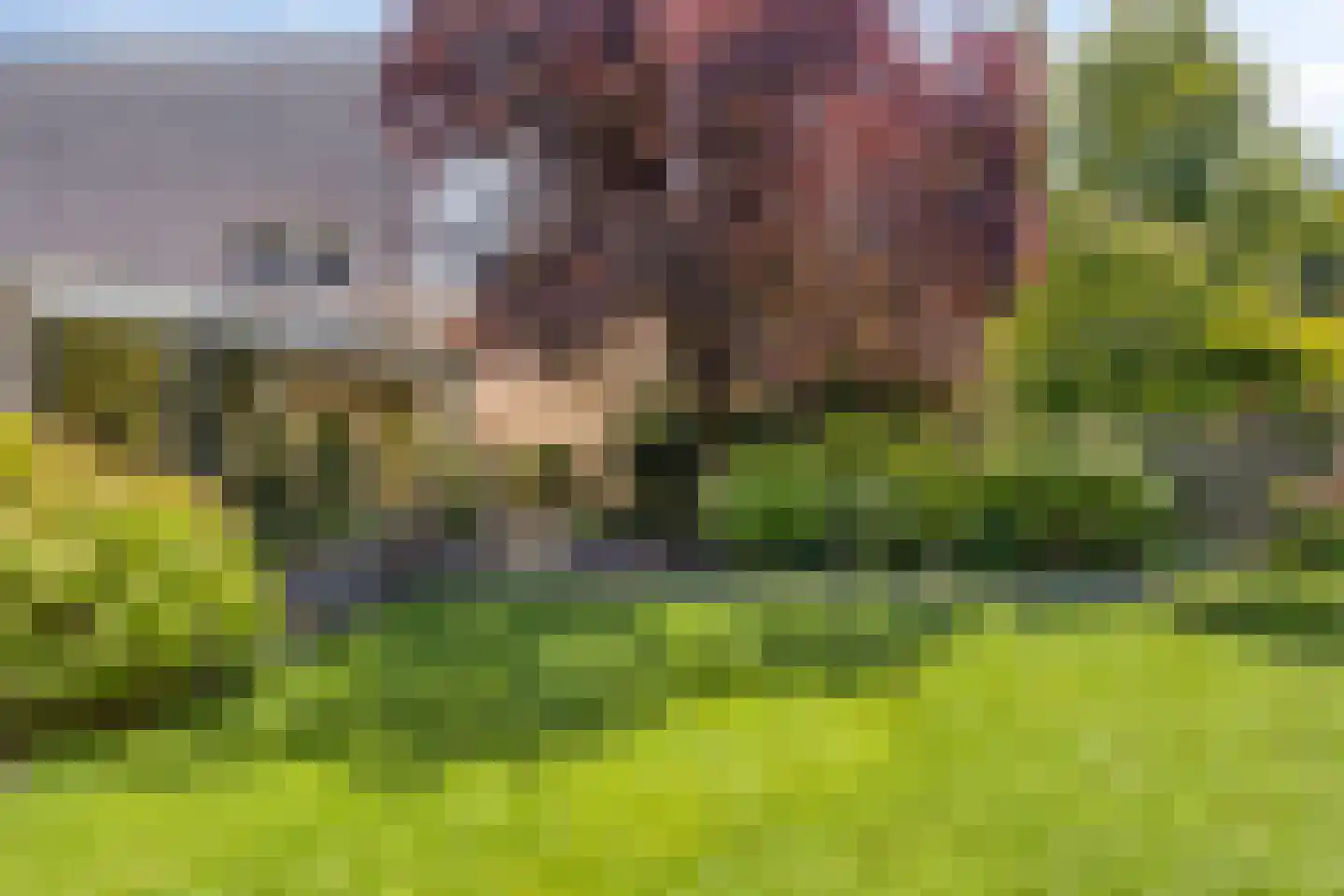 Poolsterstraat 3 Sittard thumbnail 47