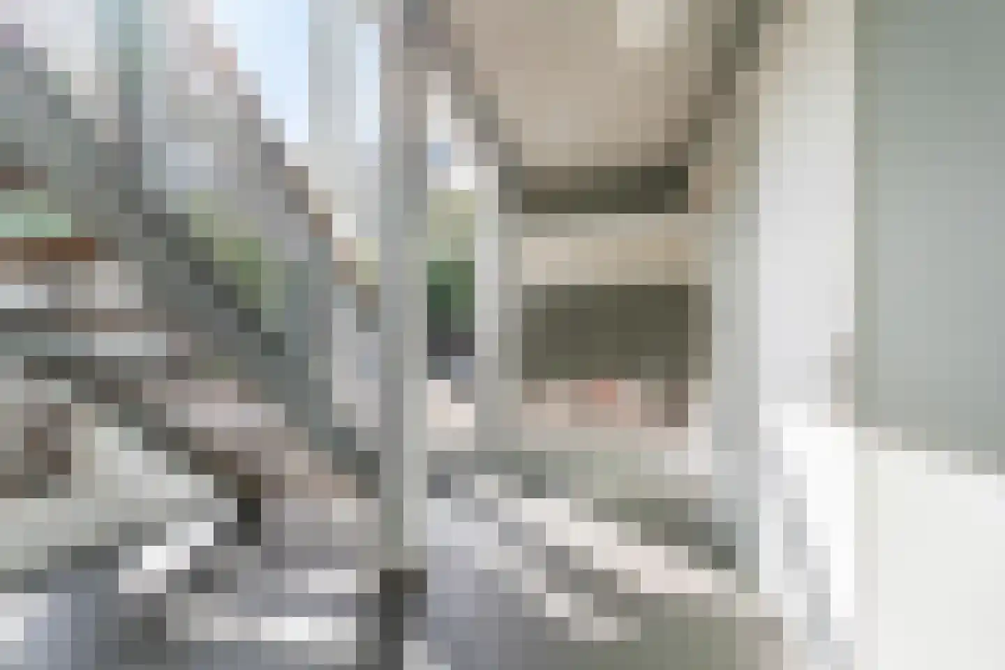 Poolsterstraat 39 Alphen aan den Rijn thumbnail 17