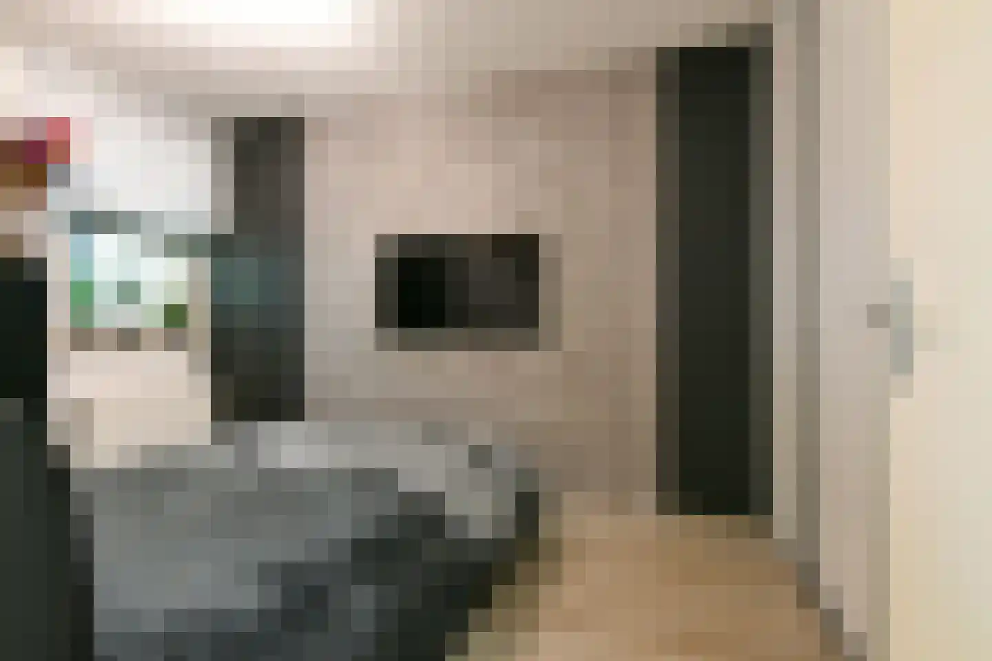 Poolsterstraat 41 Alphen aan den Rijn thumbnail 18