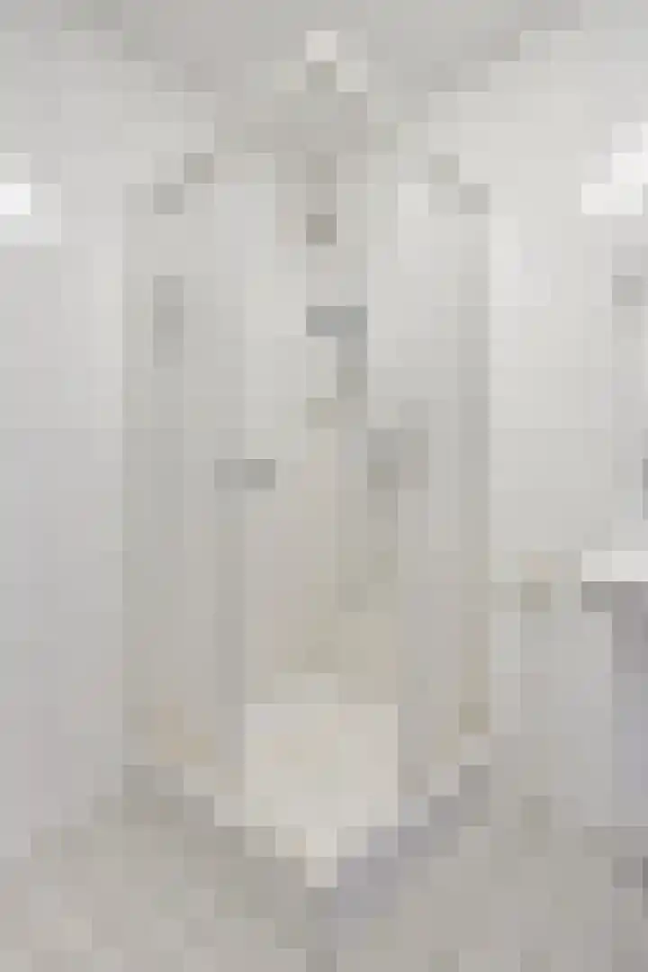 Poolsterstraat 58 Bergen op Zoom thumbnail 20
