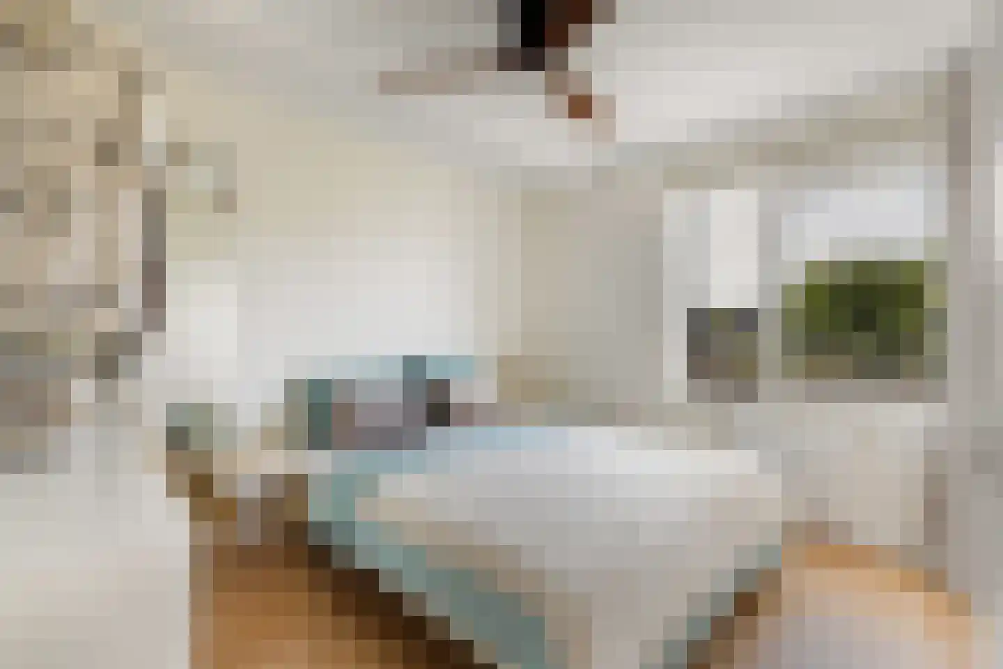 Poolstraat 109 Amsterdam thumbnail 24