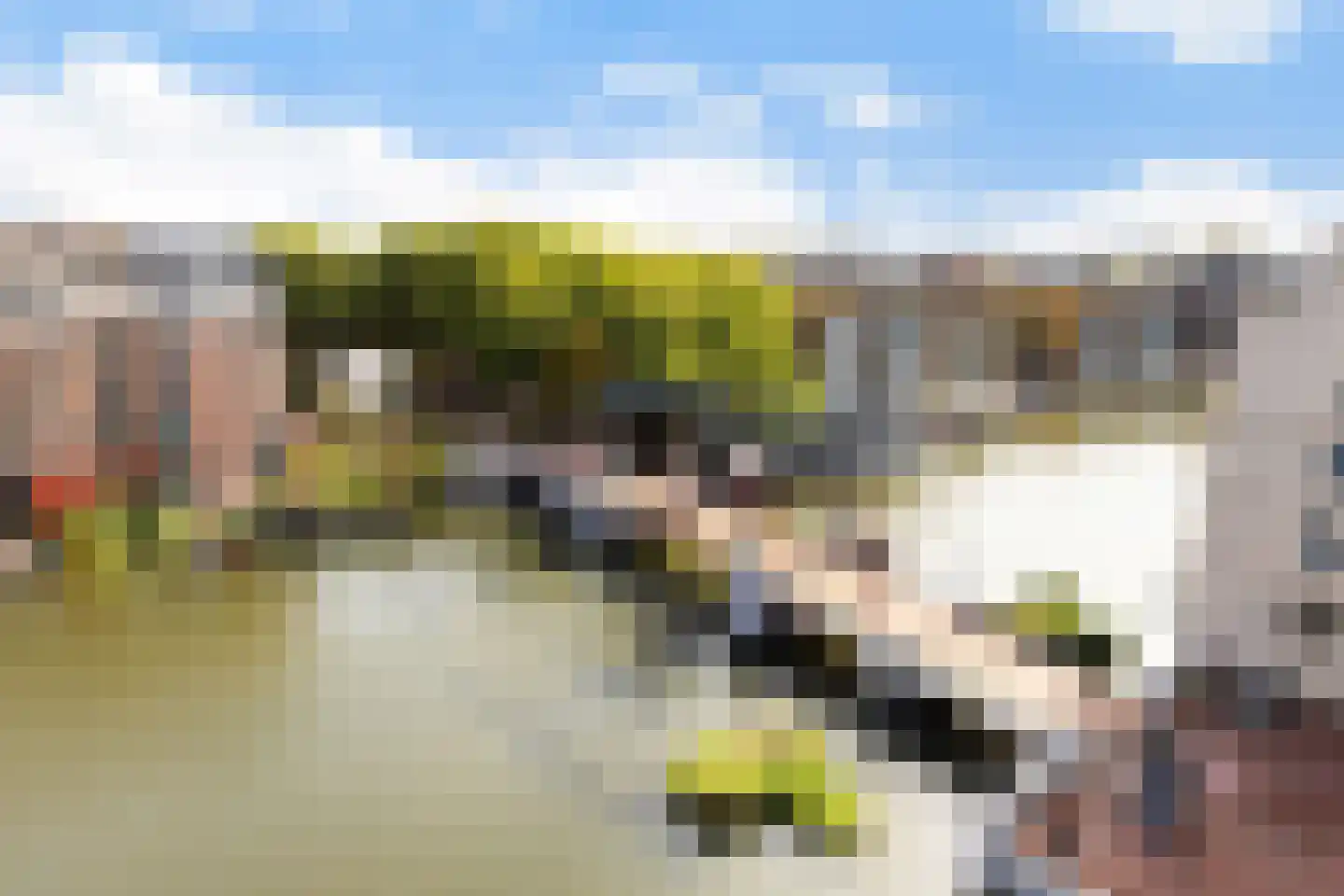 Poolstraat 109 Amsterdam thumbnail 33