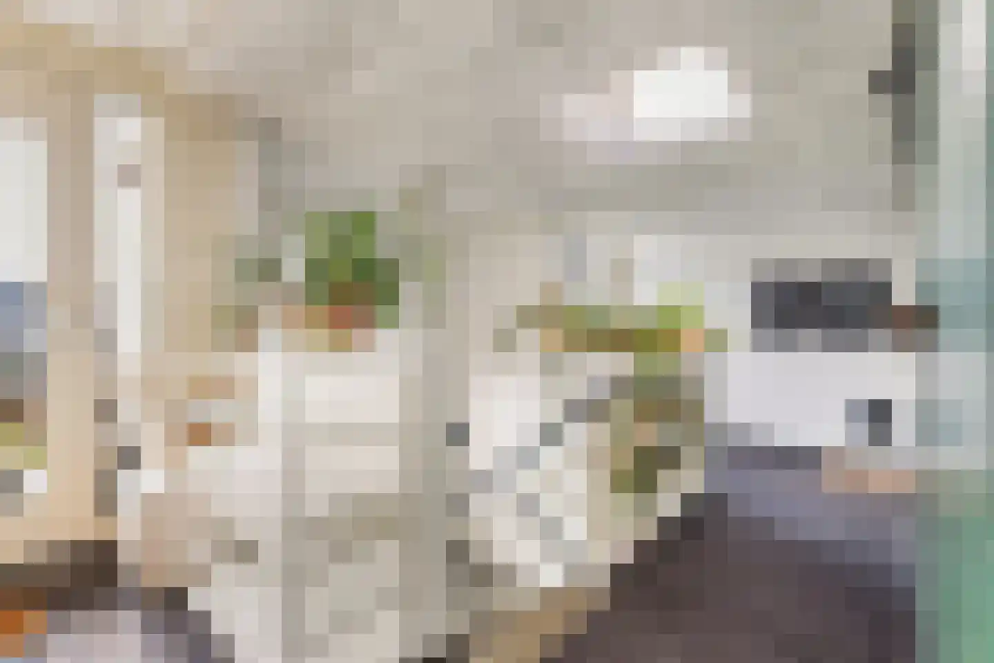 Poolstraat 109 Amsterdam thumbnail 7