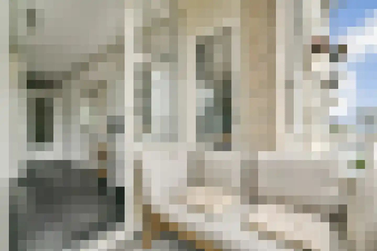 Poolstraat 67 Amsterdam thumbnail 10