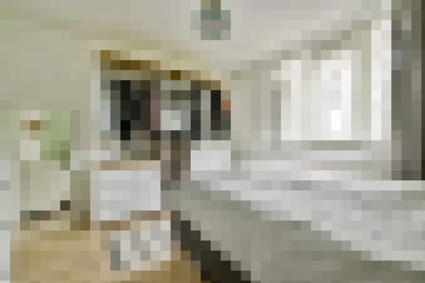Poolstraat 67 Amsterdam thumbnail 13