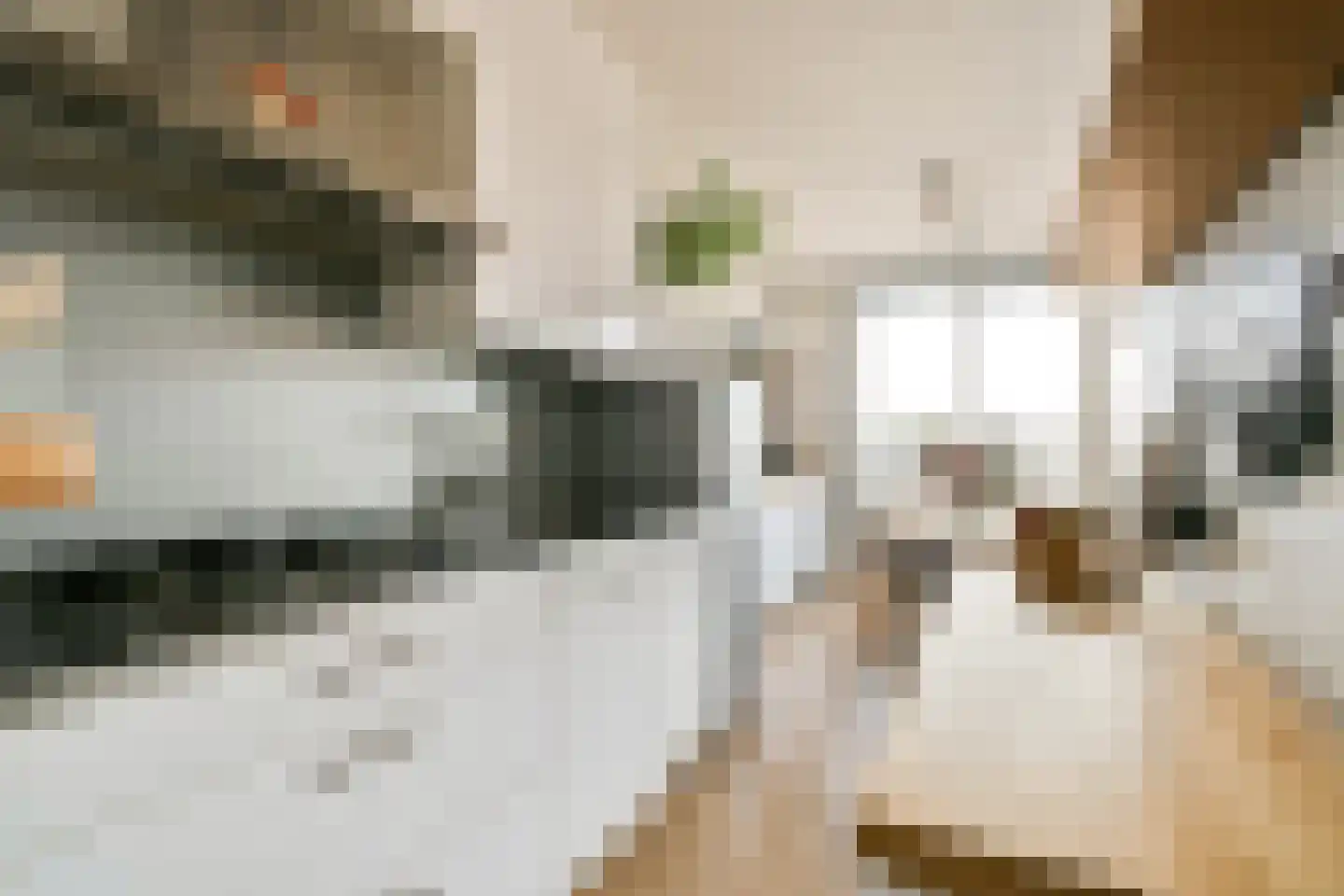 Poolstraat 93 Amsterdam thumbnail 10