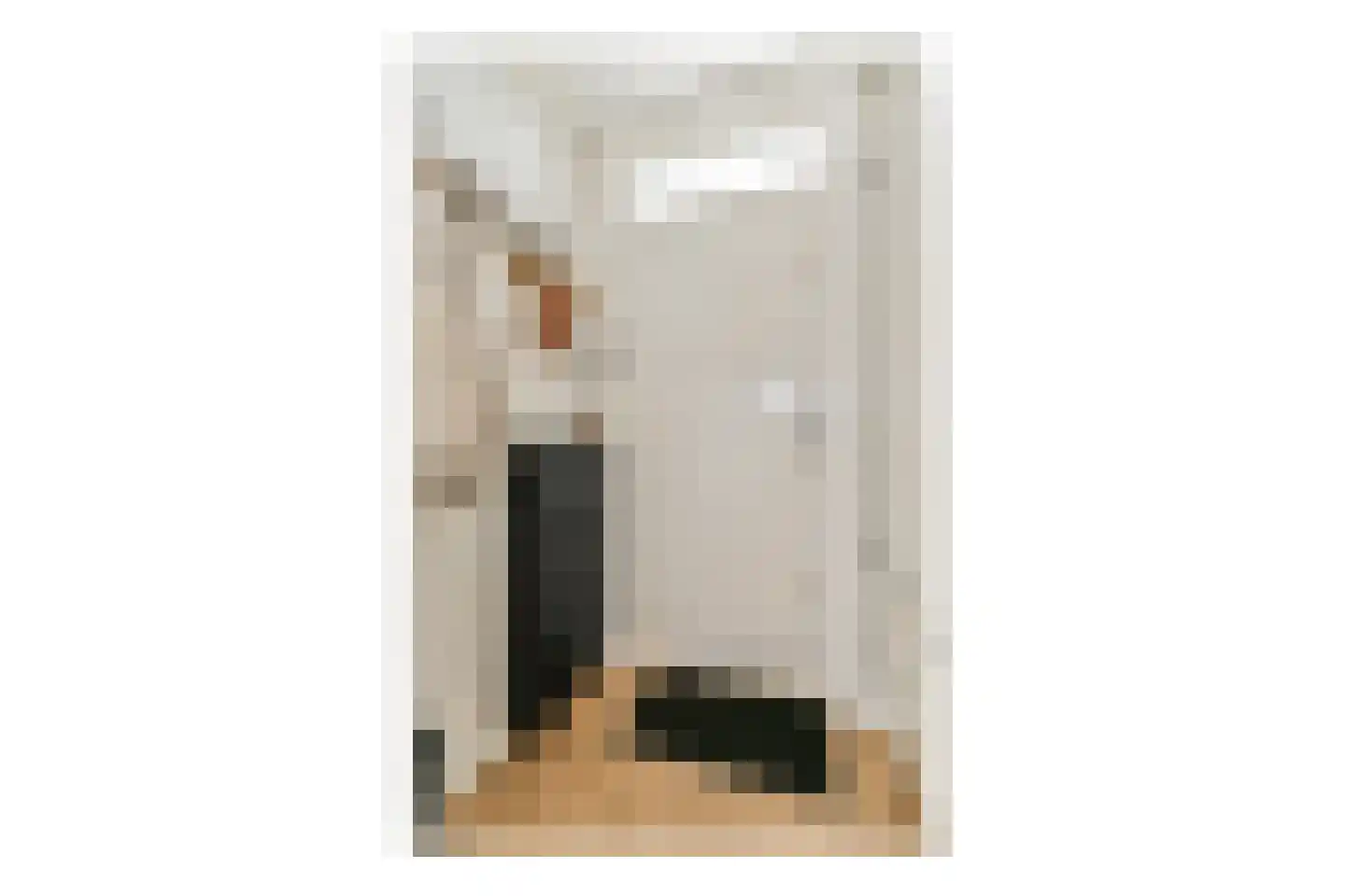 Poolstraat 93 Amsterdam thumbnail 13