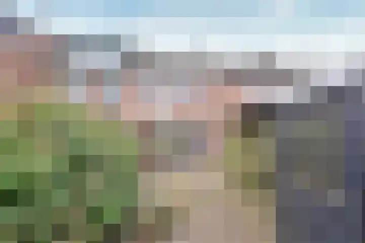 Poolvos 25 Huizen thumbnail 10