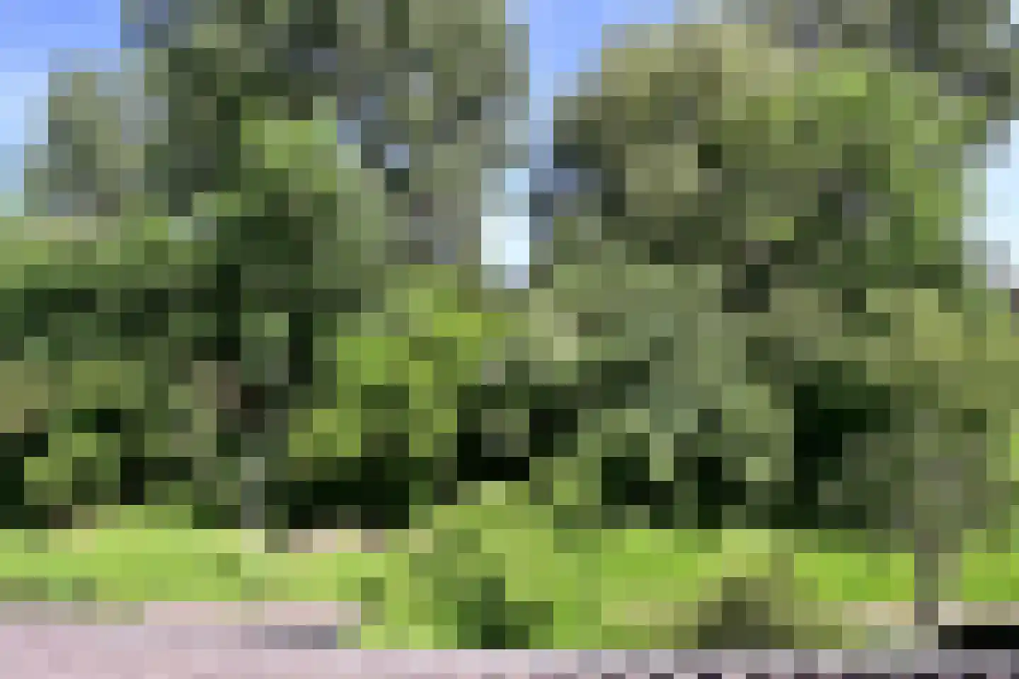 Poolvos 25 Huizen thumbnail 12
