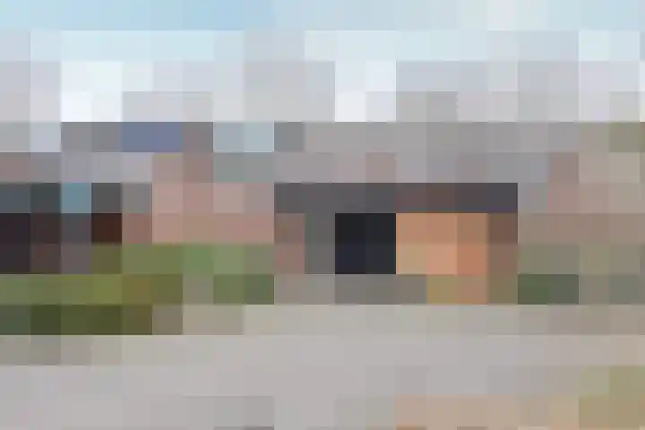Poolvos 25 Huizen thumbnail 12