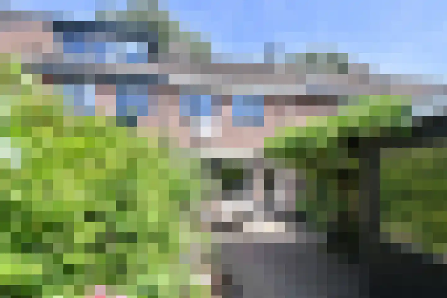 Poolvos 25 Huizen thumbnail 13