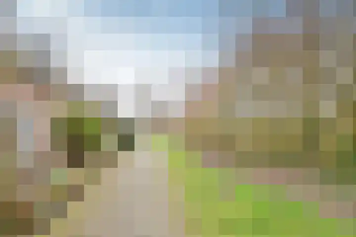 Poolvos 25 Huizen thumbnail 13