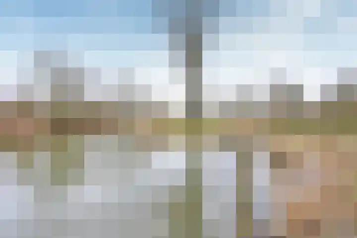 Poolvos 25 Huizen thumbnail 14