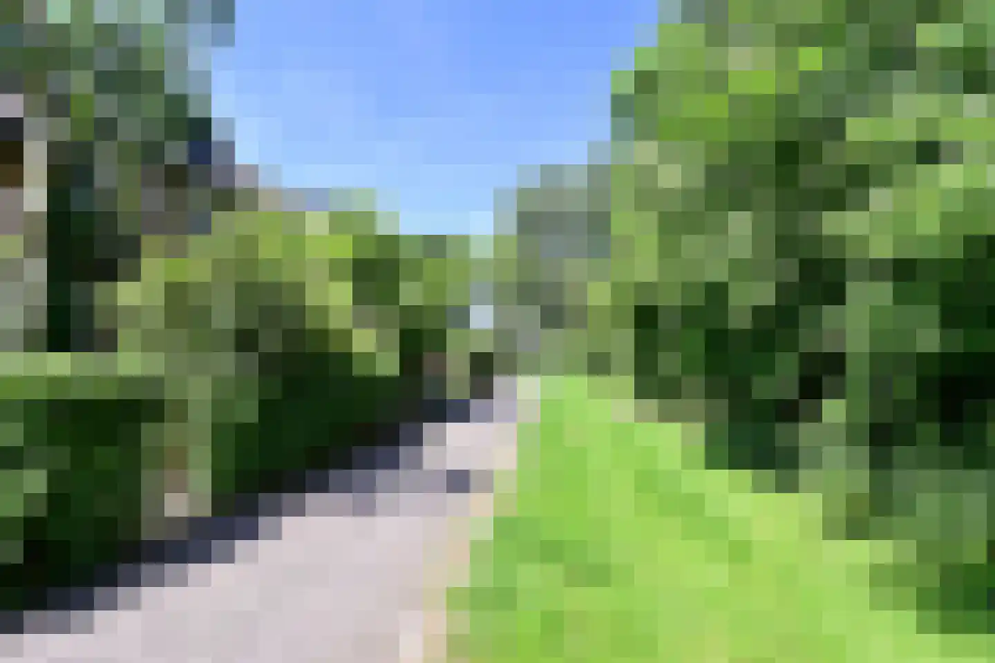 Poolvos 25 Huizen thumbnail 17