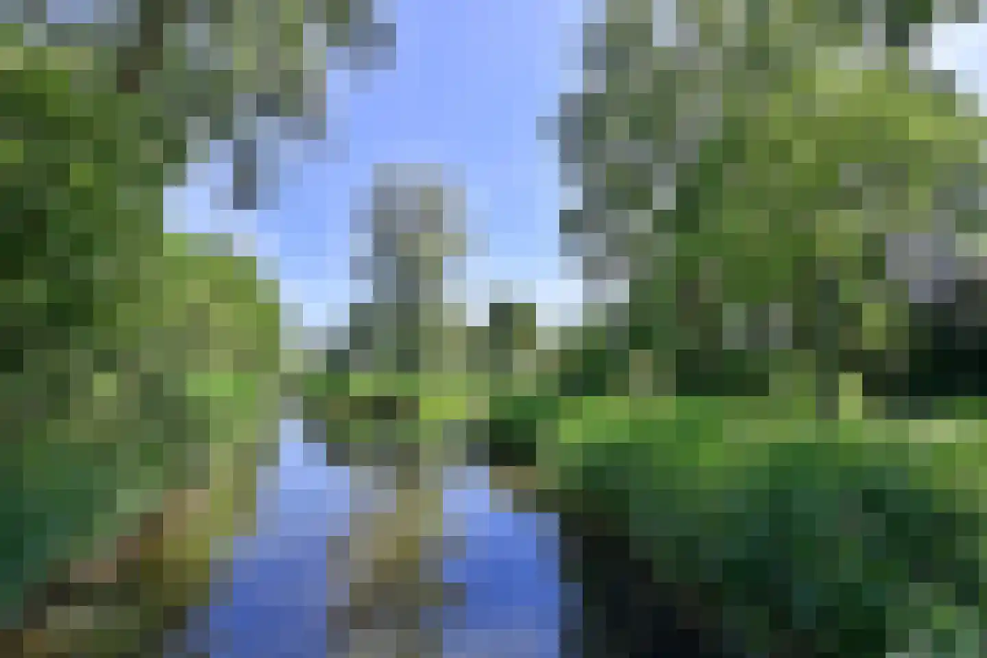 Poolvos 25 Huizen thumbnail 18