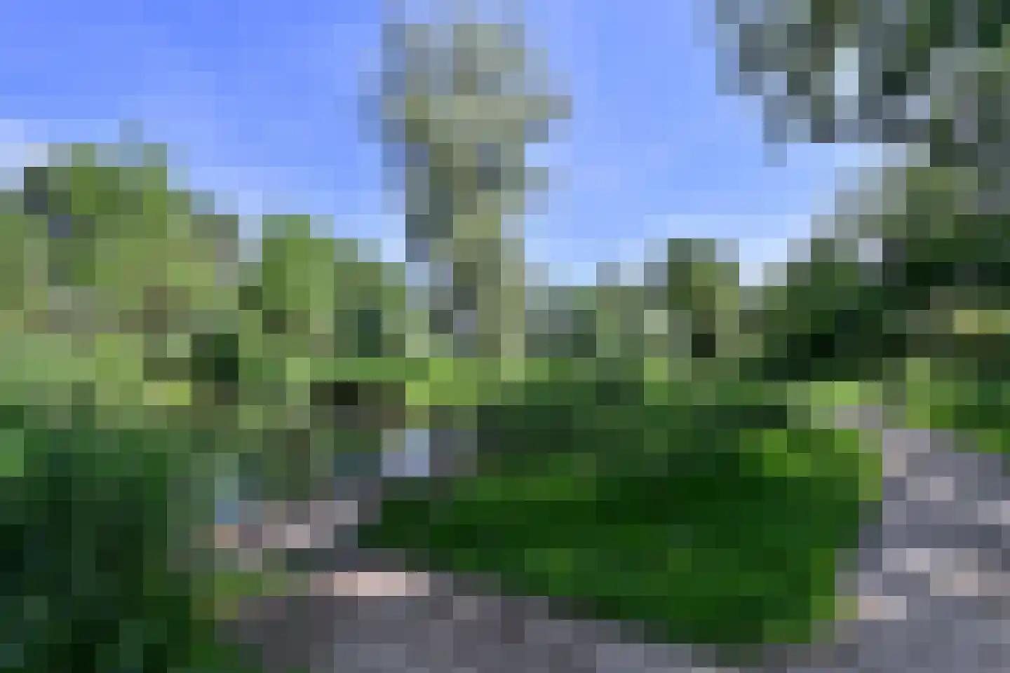Poolvos 25 Huizen thumbnail 19
