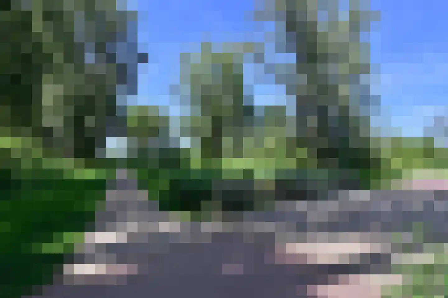 Poolvos 25 Huizen thumbnail 20