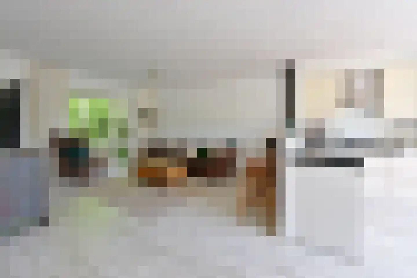 Poolvos 25 Huizen thumbnail 4