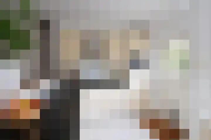 Poolvos 25 Huizen thumbnail 4