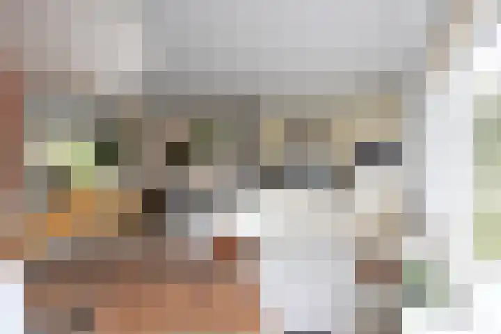 Poolvos 25 Huizen thumbnail 5