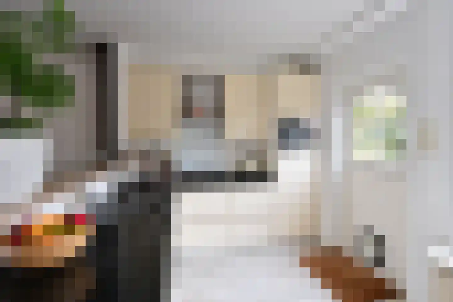 Poolvos 25 Huizen thumbnail 5