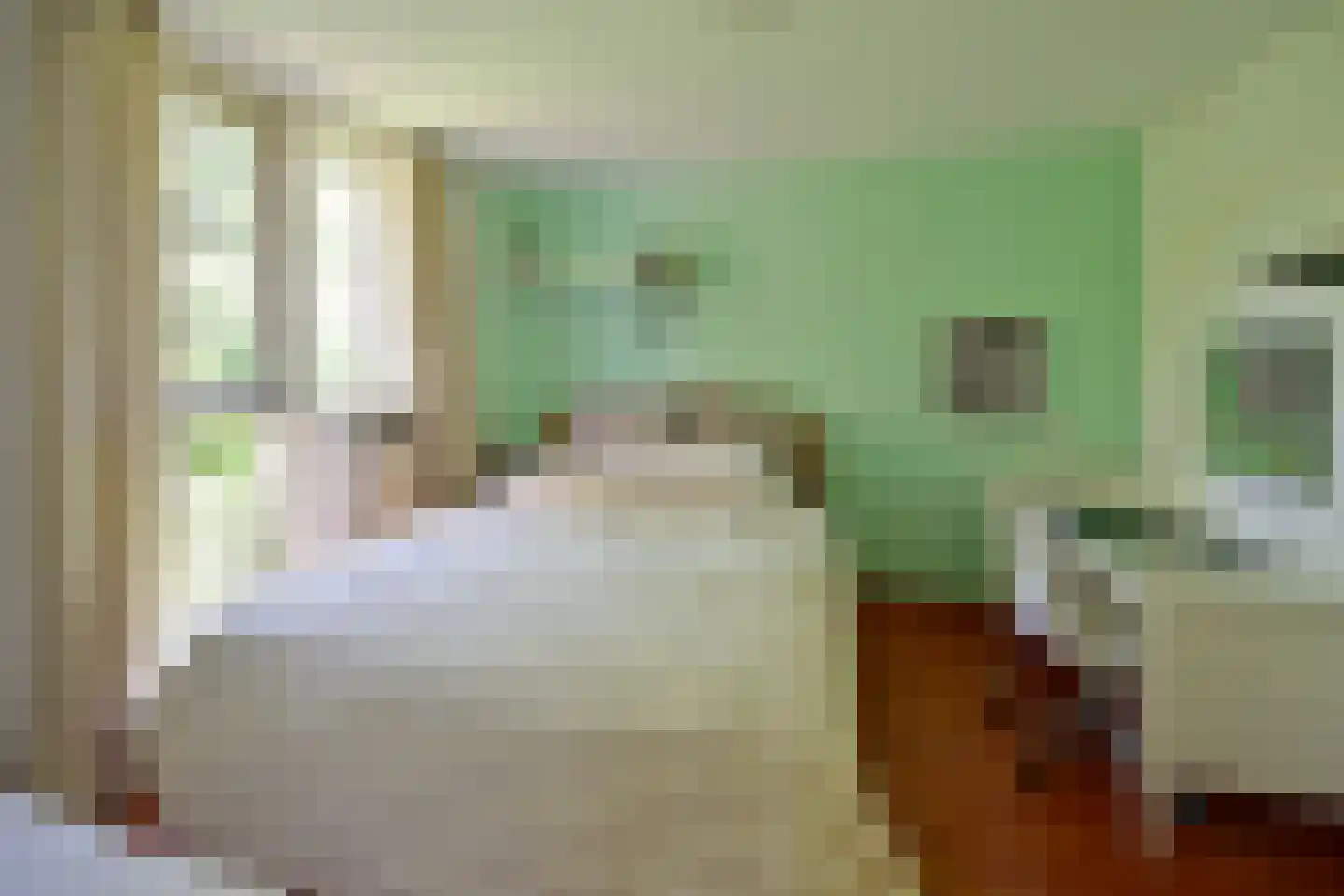 Poolvos 25 Huizen thumbnail 9