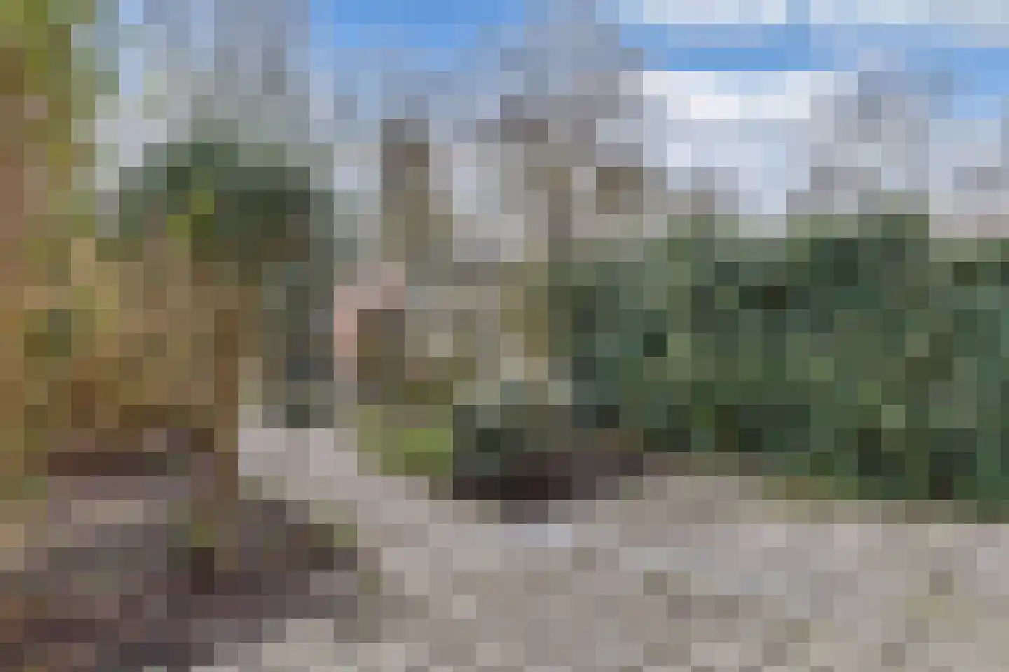 Poolvos 47 Huizen thumbnail 18