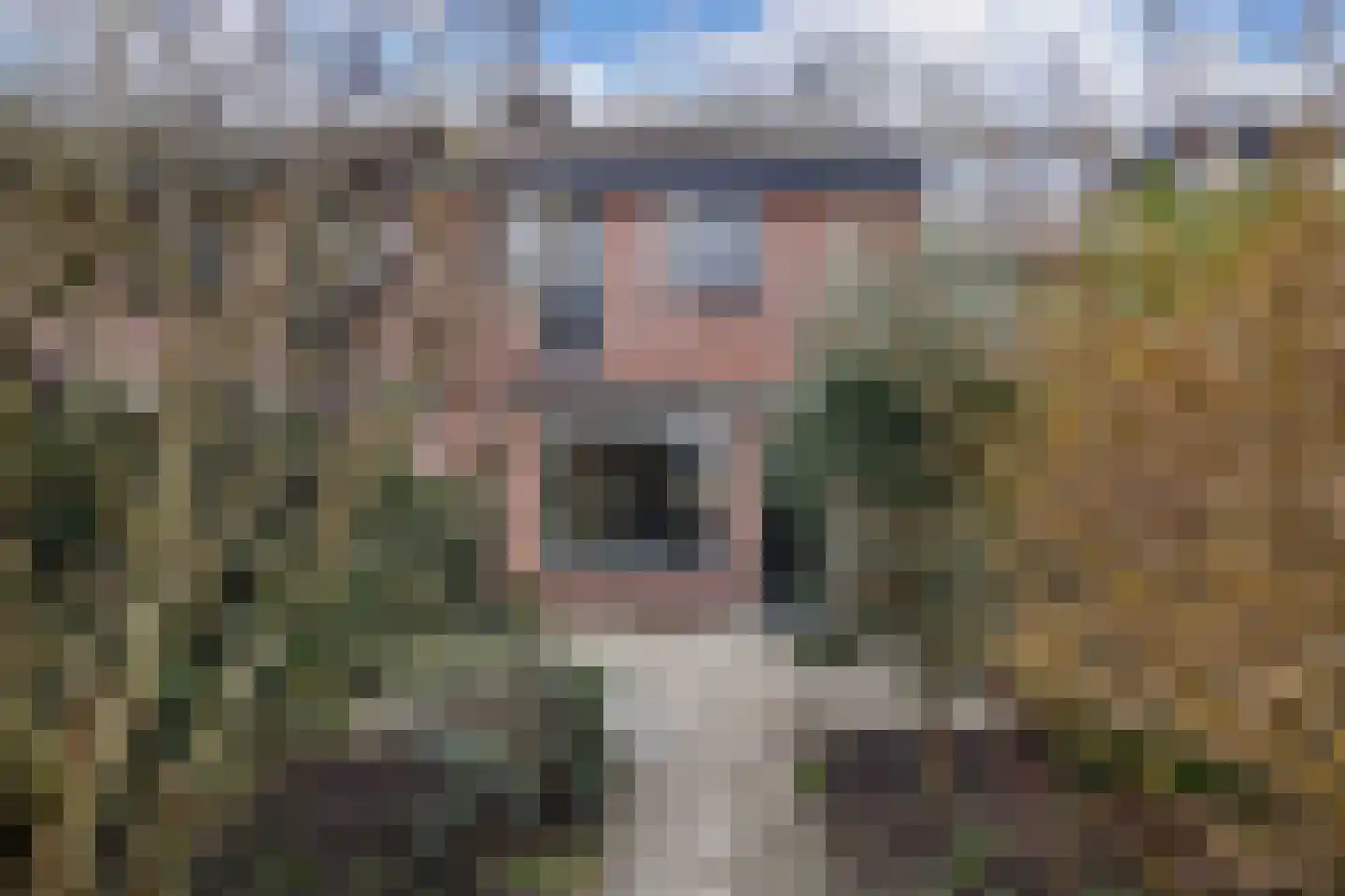 Poolvos 47 Huizen thumbnail 20