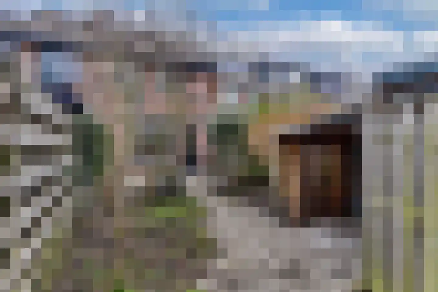 Poolvos 47 Huizen thumbnail 21