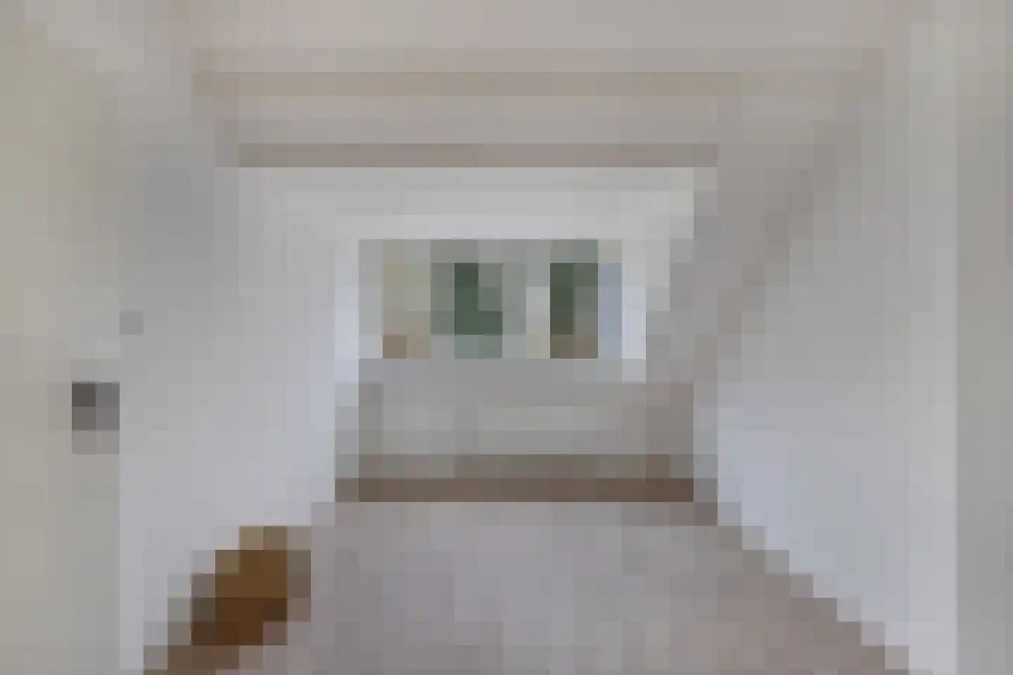 Poolvos 47 Huizen thumbnail 37