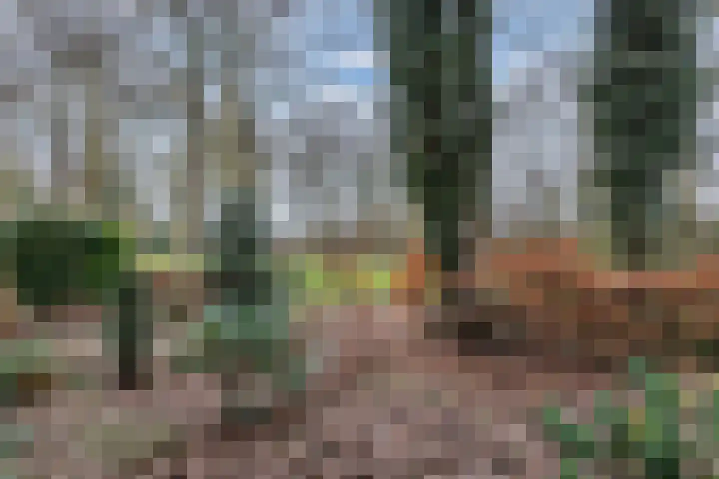 Poolvos 47 Huizen thumbnail 5