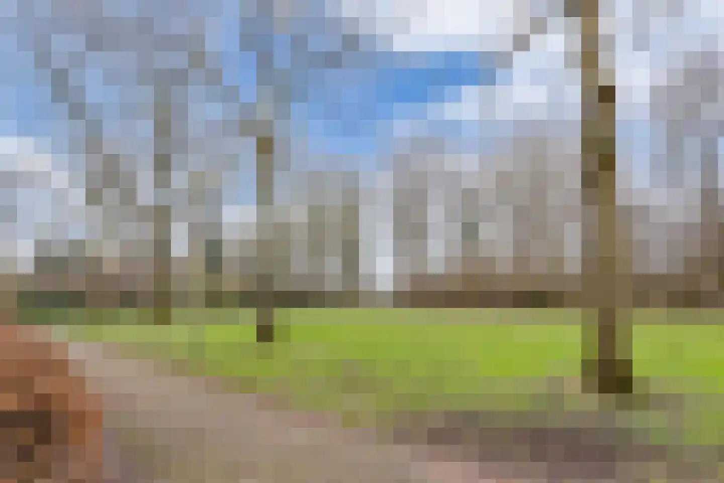 Poolvos 47 Huizen thumbnail 6