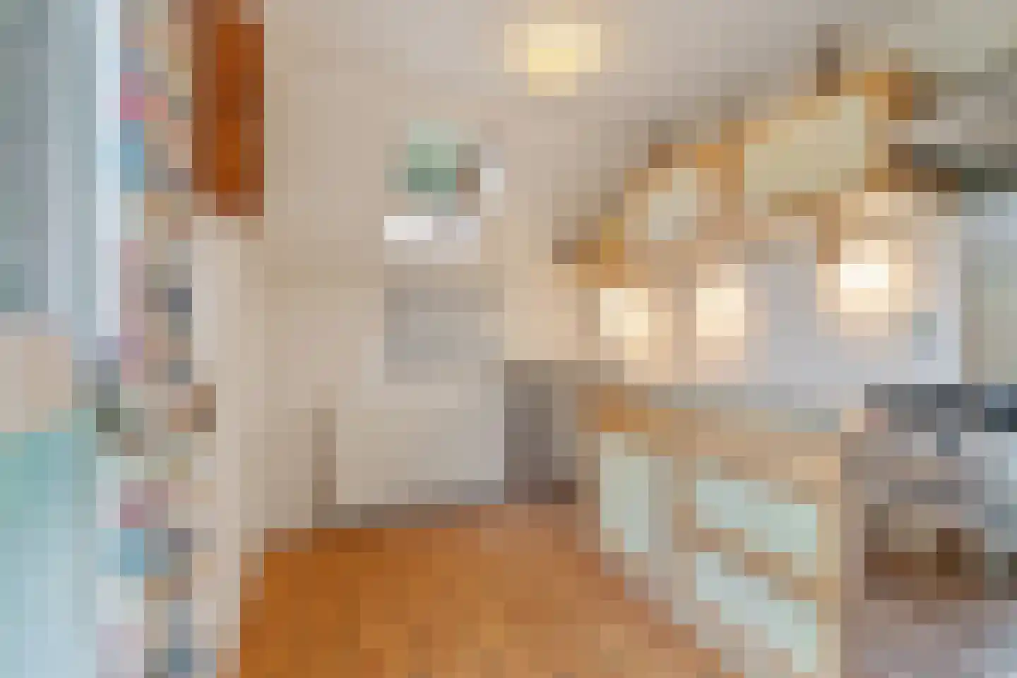 Poolvos 57 Huizen thumbnail 12