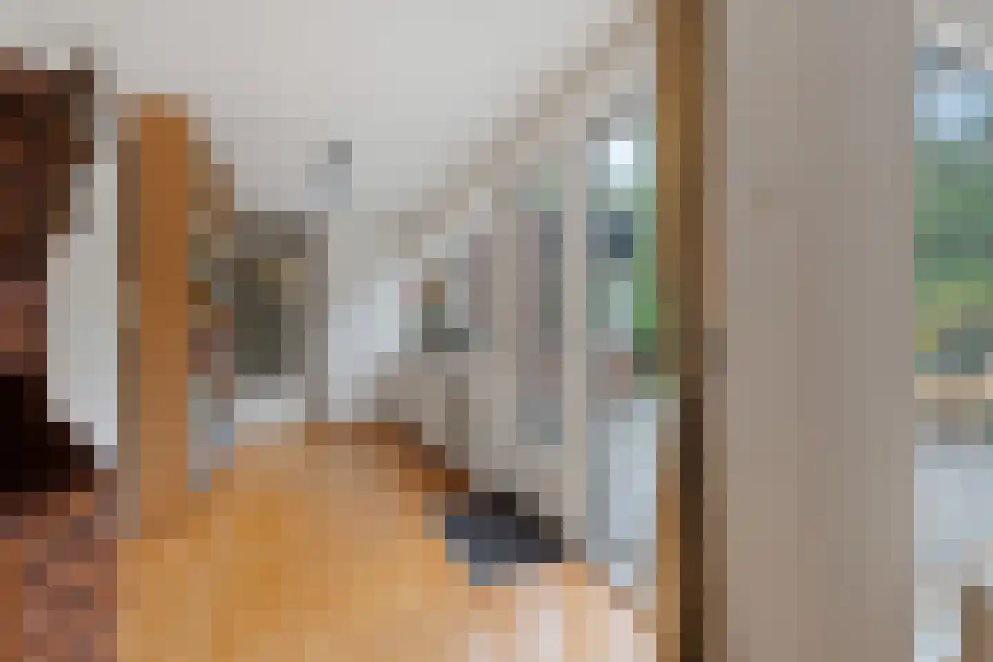 Poolvos 57 Huizen thumbnail 14