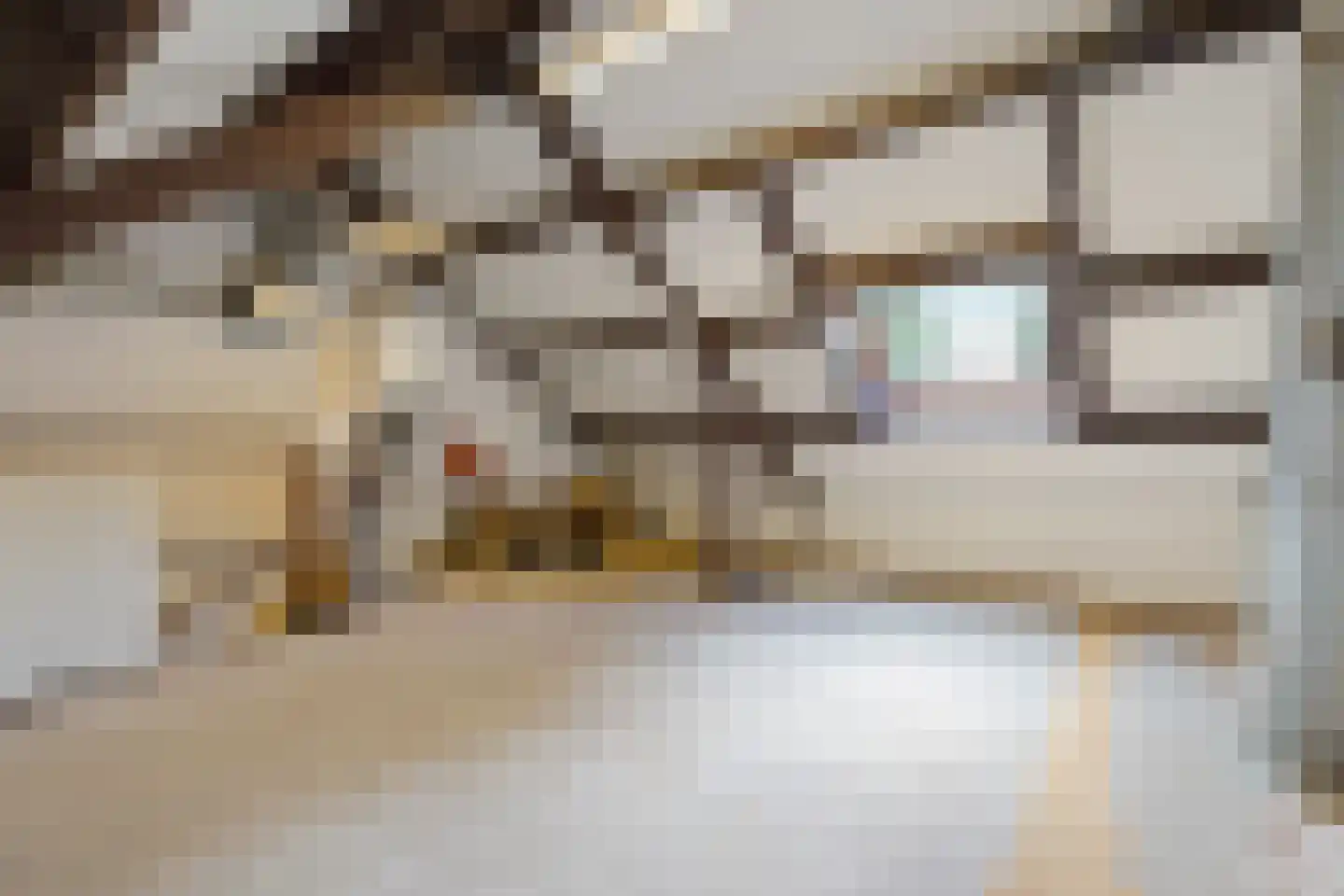 Poolvos 57 Huizen thumbnail 20