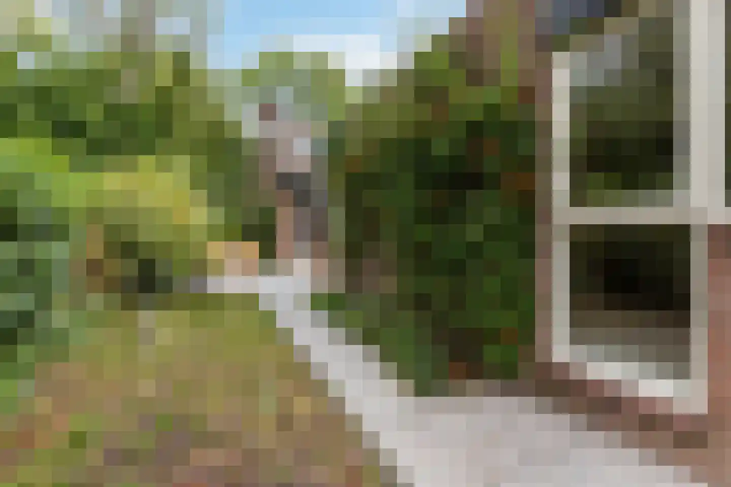 Poolvos 57 Huizen thumbnail 24